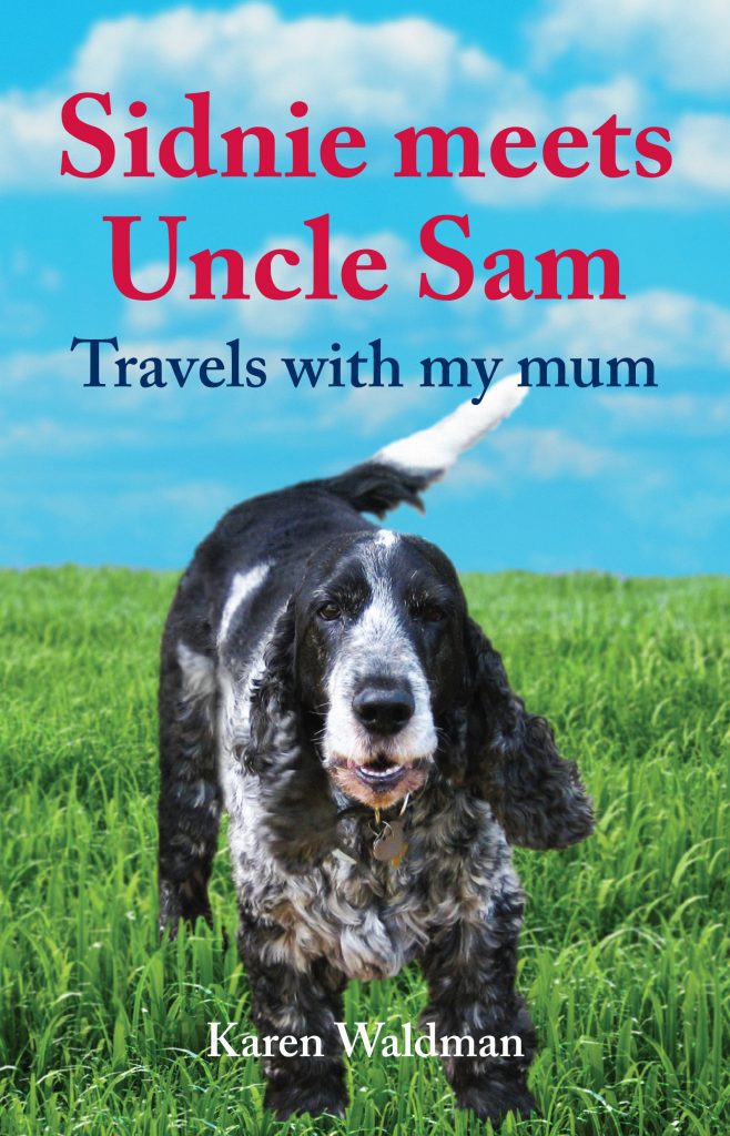 Sidnie Meets Uncle Sam_BookCover