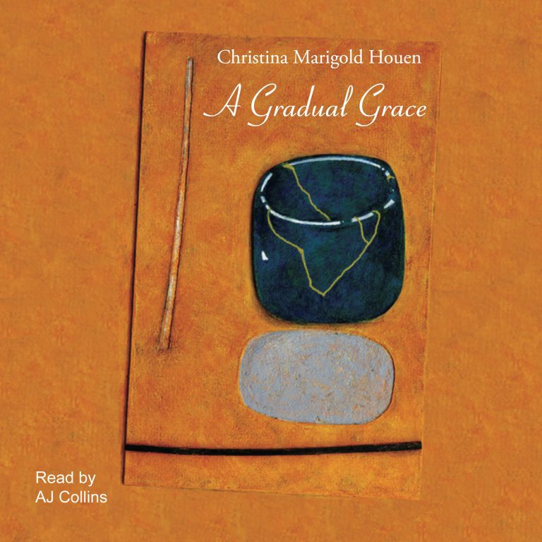Book cover of A Gradual Grace